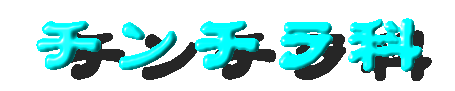 チンチラ科